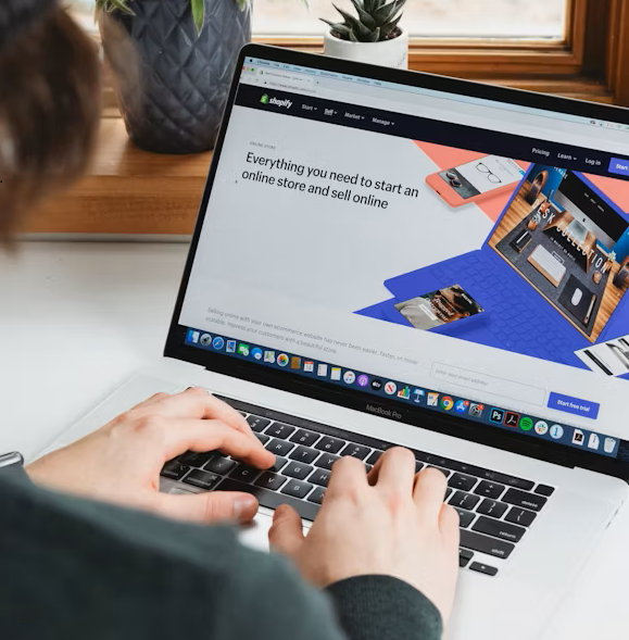 Website Development